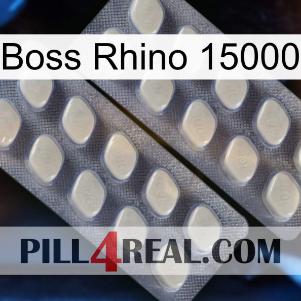 Boss Rhino 15000 07.jpg